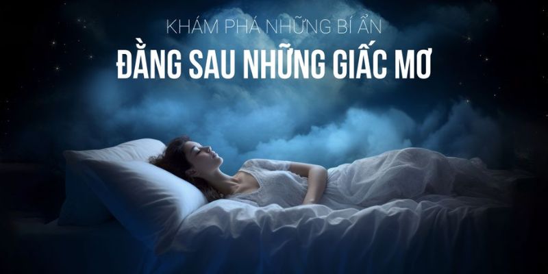 Giấc mơ là hiện tượng phổ biến của con người